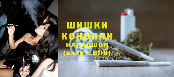 сатива Богданович