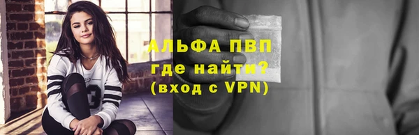 сатива Богданович