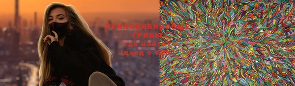 сатива Богданович